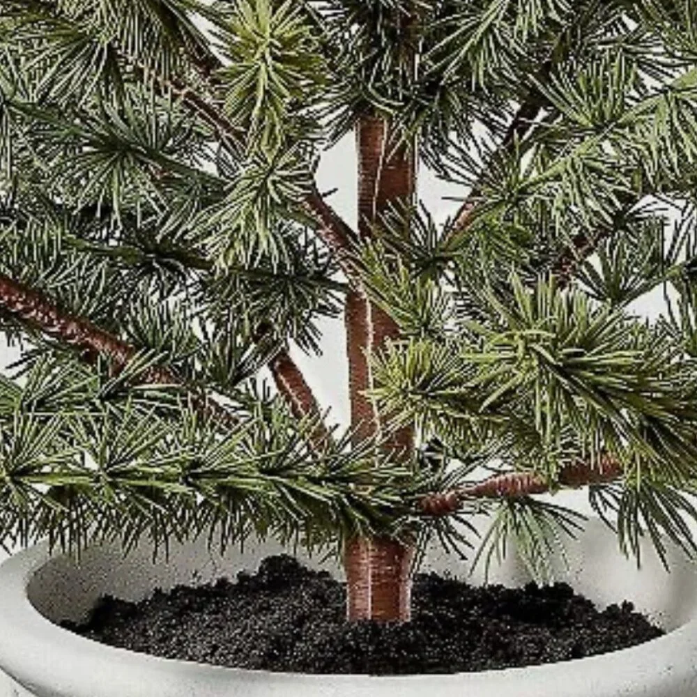 Hearth & Hand with Magnolia Faux‎ Spruce Tree in Fluted Porch Pot NEW WITH TAG